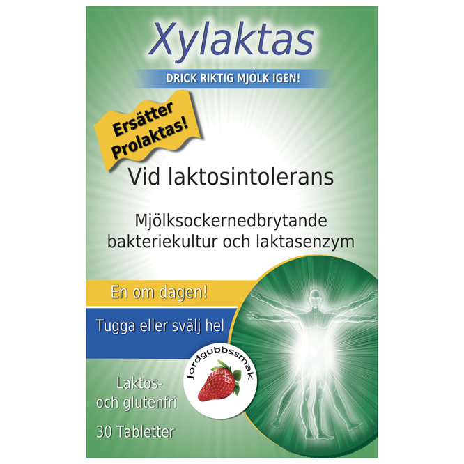 Xylaktas